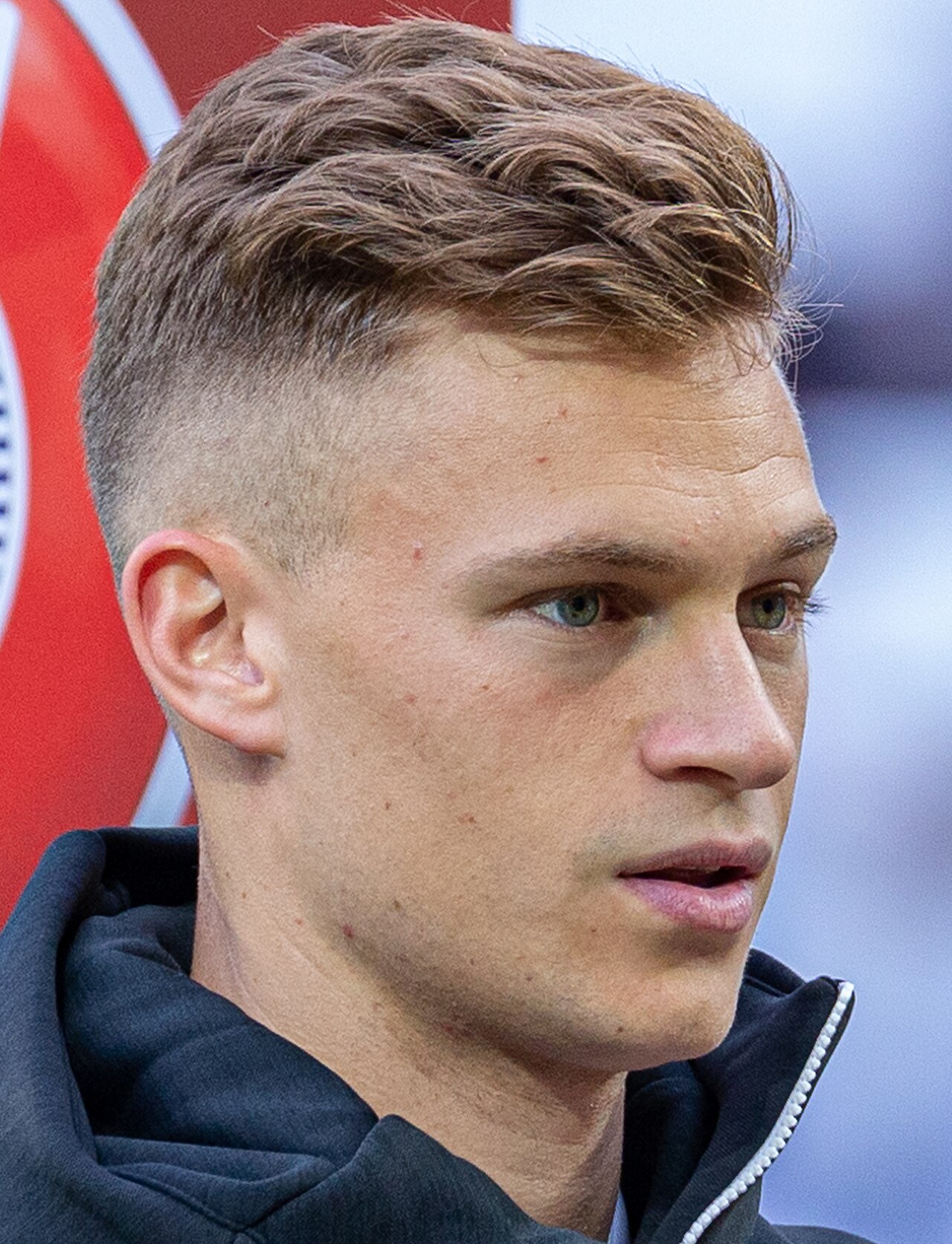 Musuh Tak Terduga Jerman di Piala Dunia 2026: Bukan Lawan, Tapi Ular Berbisa!